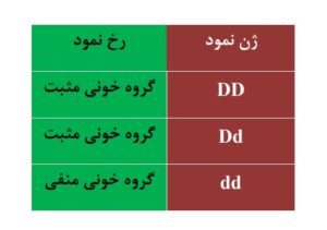 خلاصه فصل 3 درس زیست سال دوازدهم تجربی